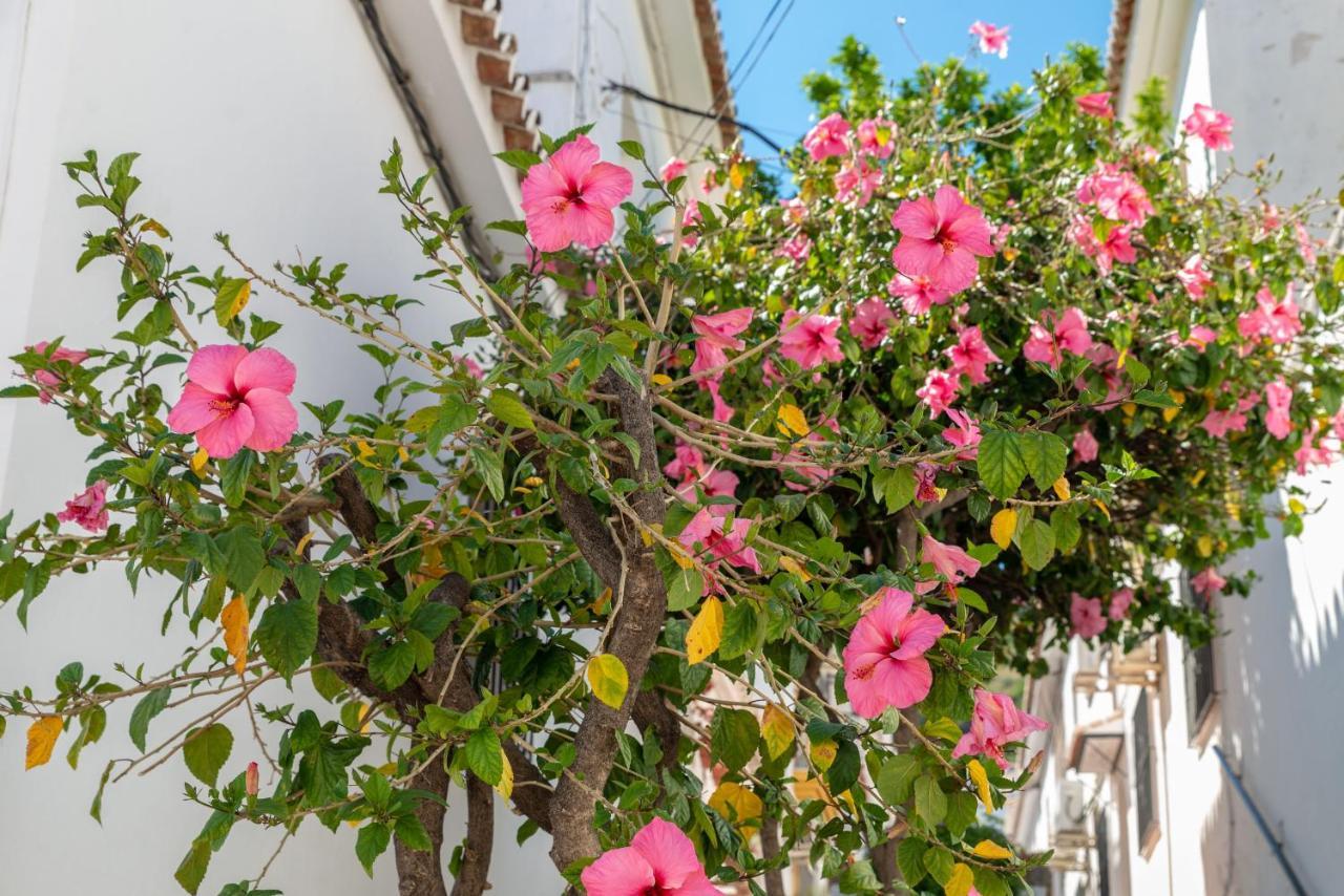Lovely Cozy 2-Bedroom Residential Home With Patio ベナルマデナ エクステリア 写真